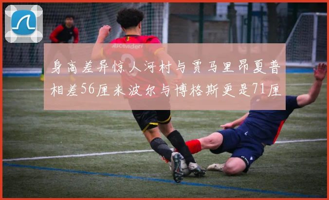 身高差异惊人河村与贾马里昂夏普相差56厘米波尔与博格斯更是71厘米