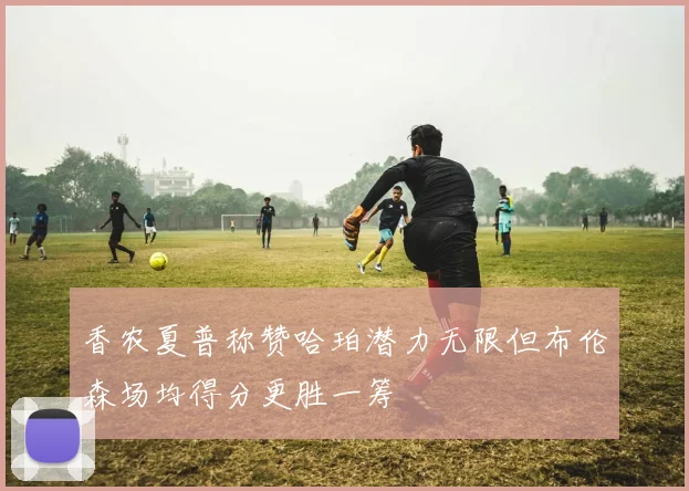 香农夏普称赞哈珀潜力无限但布伦森场均得分更胜一筹